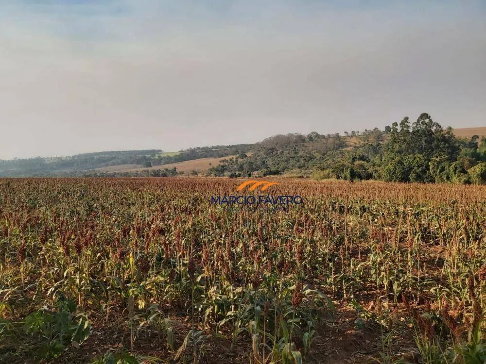 Fazenda, 51 hectares - Foto 2