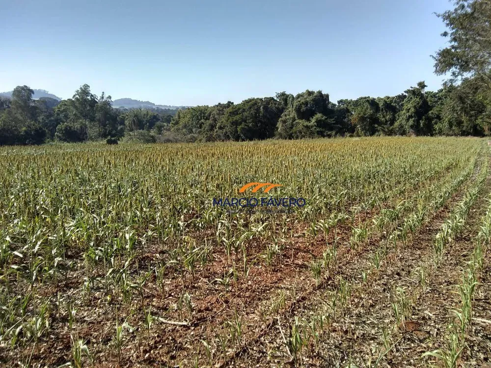 Fazenda, 51 hectares - Foto 6