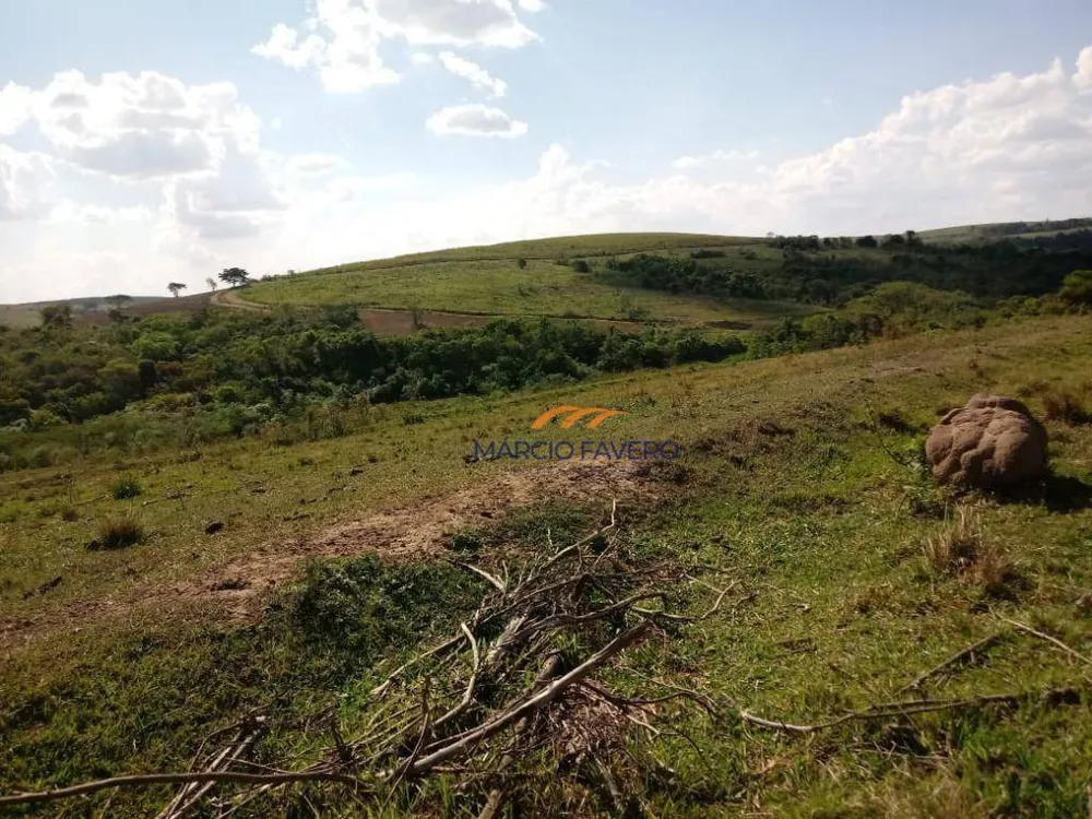 Fazenda, 170 hectares - Foto 10