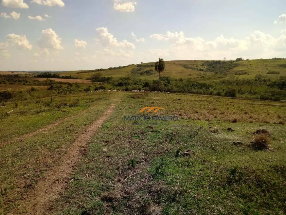 Fazenda, 170 hectares - Foto 12