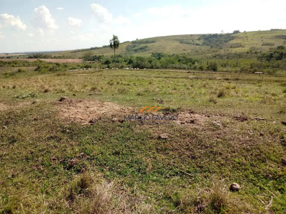 Fazenda, 170 hectares - Foto 9