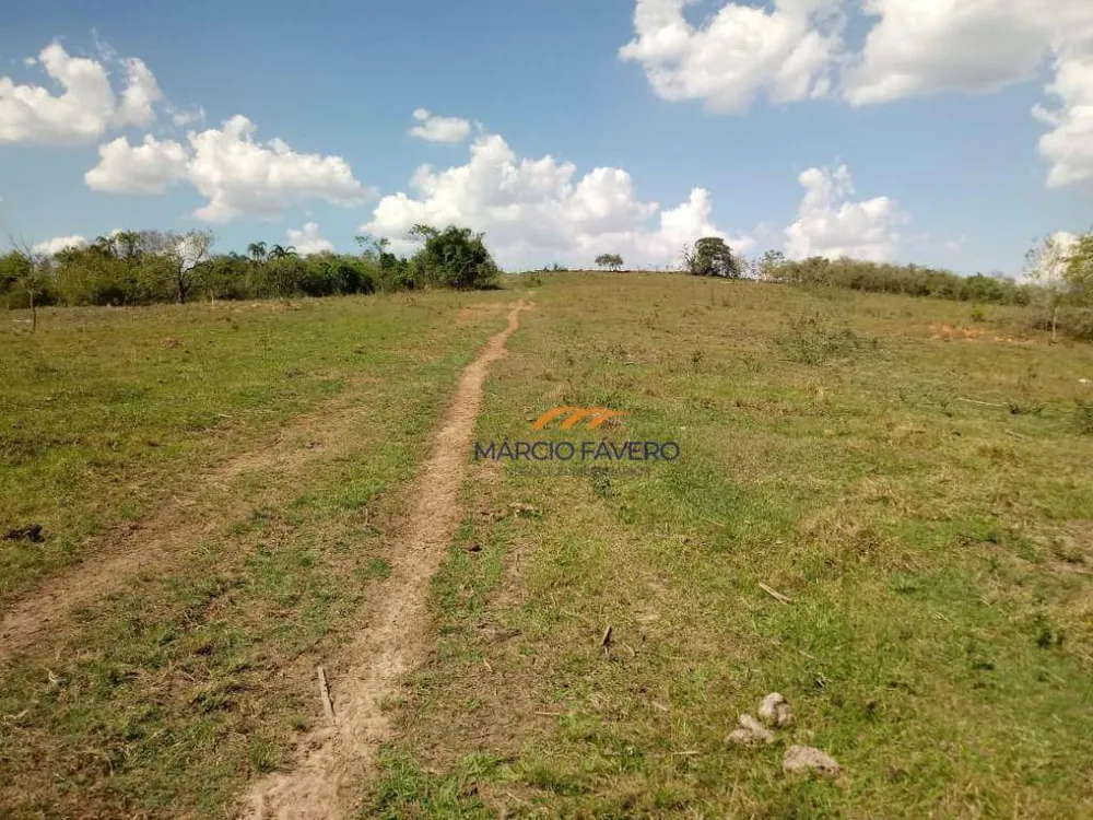 Fazenda, 170 hectares - Foto 13