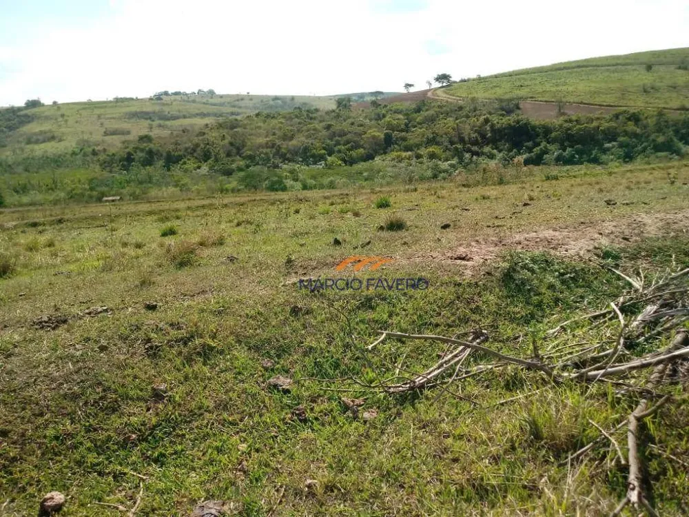 Fazenda, 170 hectares - Foto 4