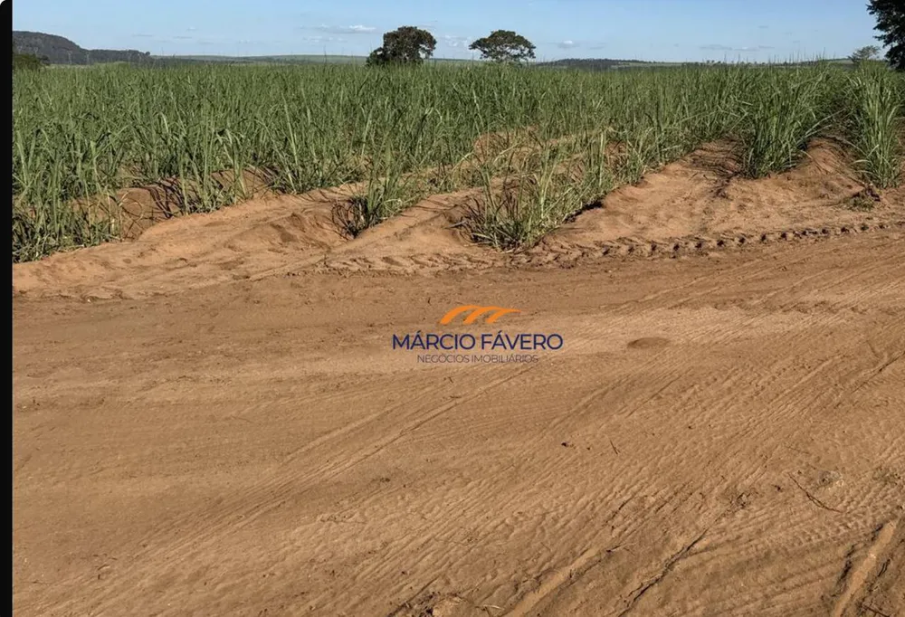 Fazenda, 605 hectares - Foto 4