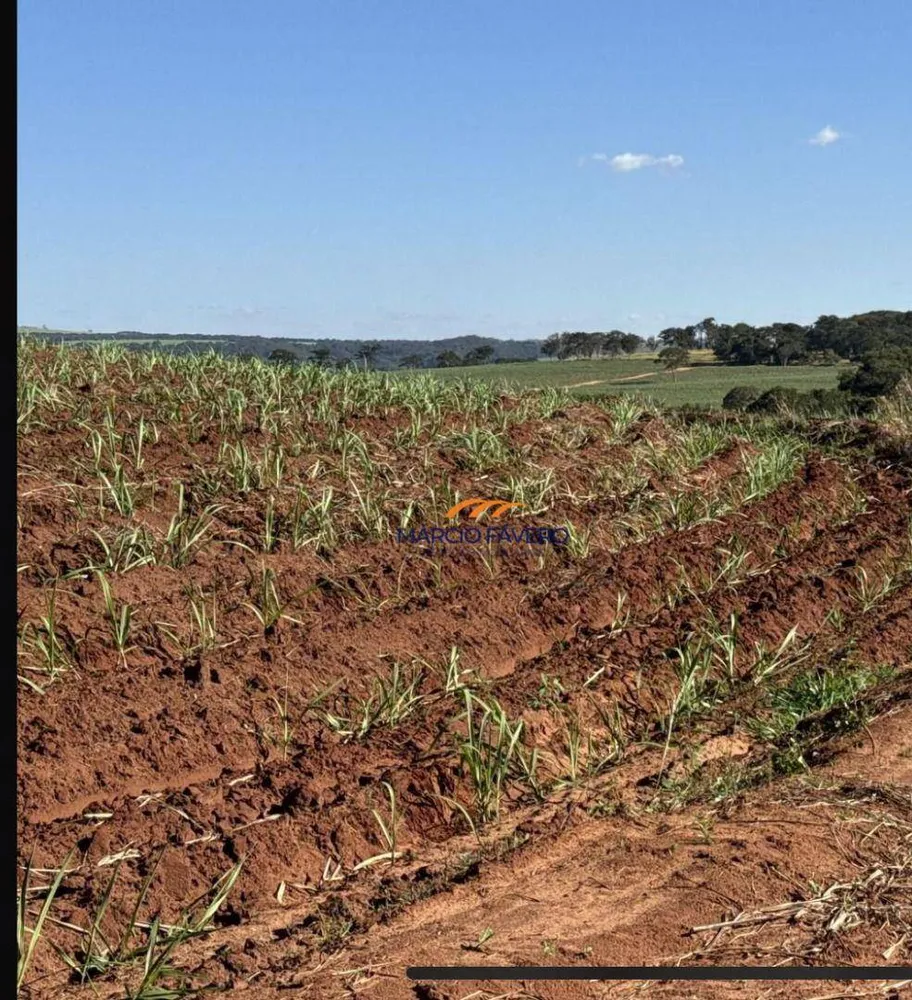 Fazenda, 605 hectares - Foto 2