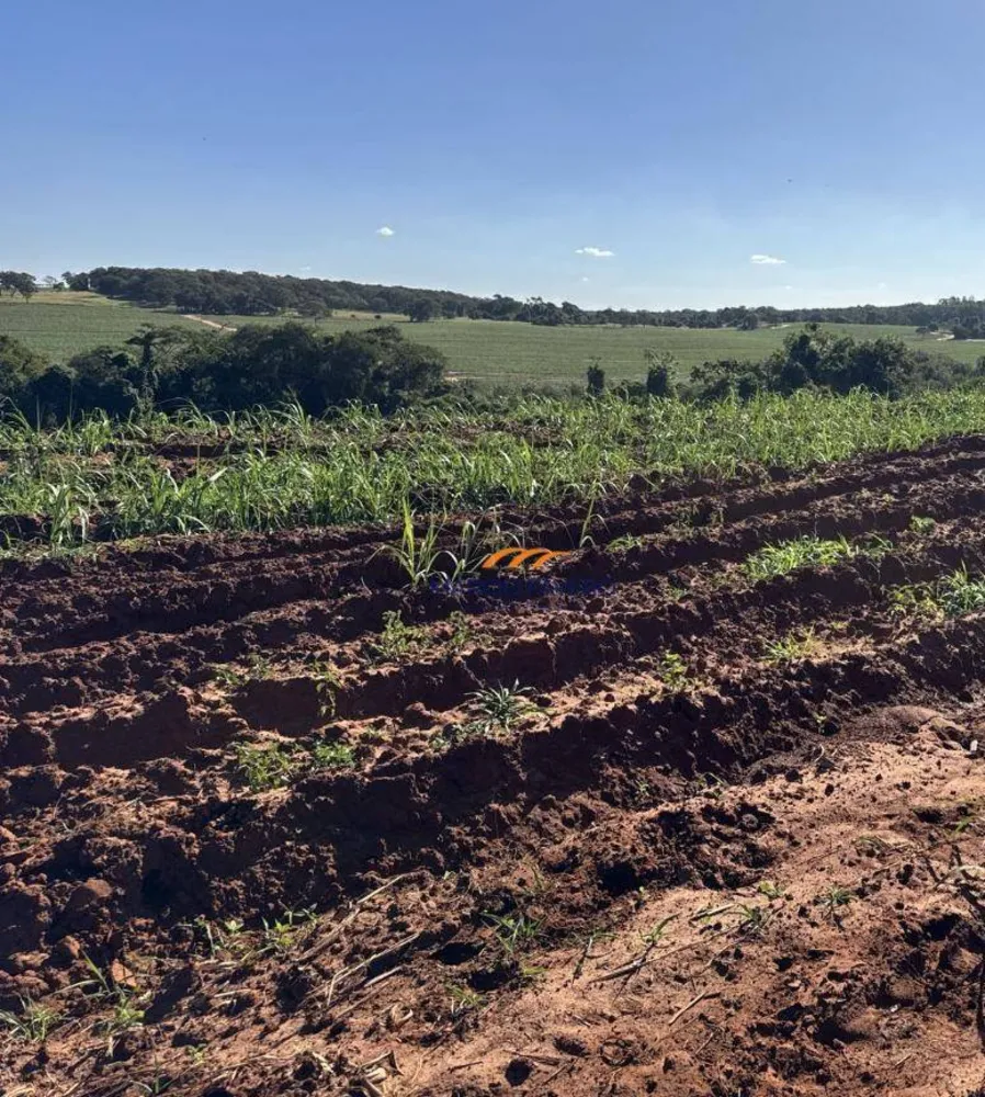 Fazenda, 605 hectares - Foto 3