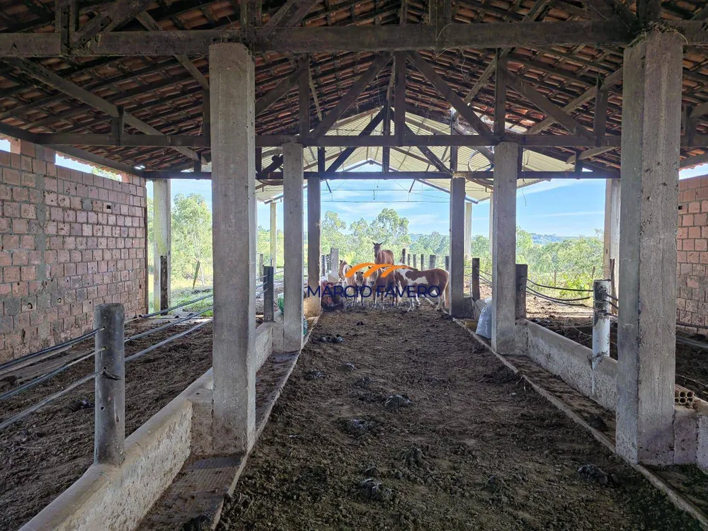 Sítio, 29 hectares - Foto 4