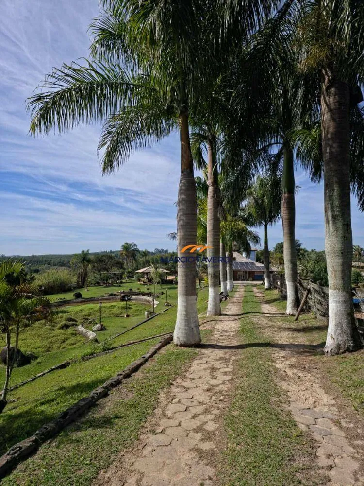 Sítio, 29 hectares - Foto 4