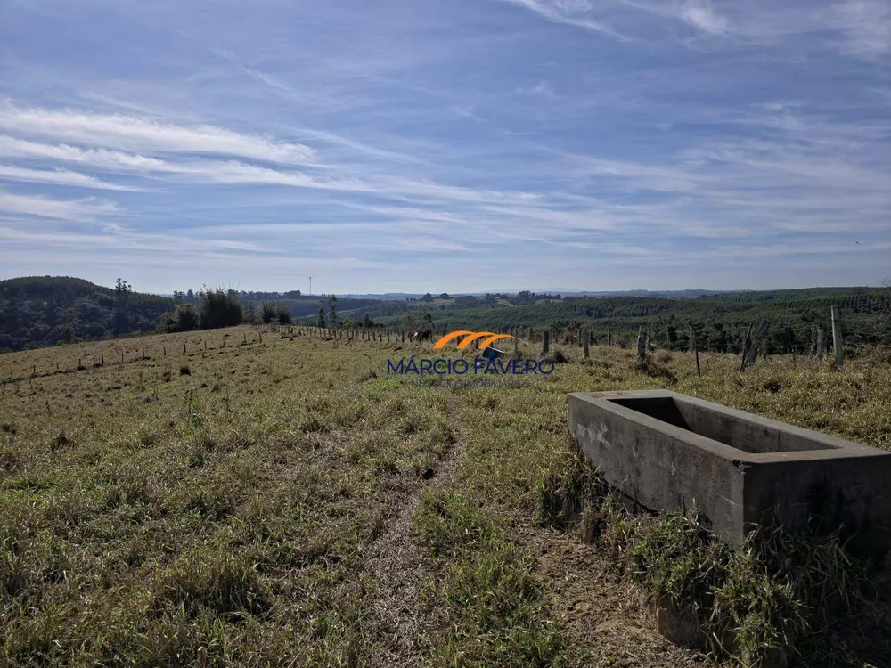 Sítio, 29 hectares - Foto 11