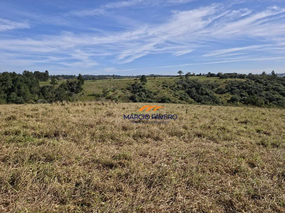 Sítio, 29 hectares - Foto 1