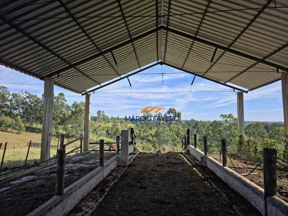 Sítio, 29 hectares - Foto 2