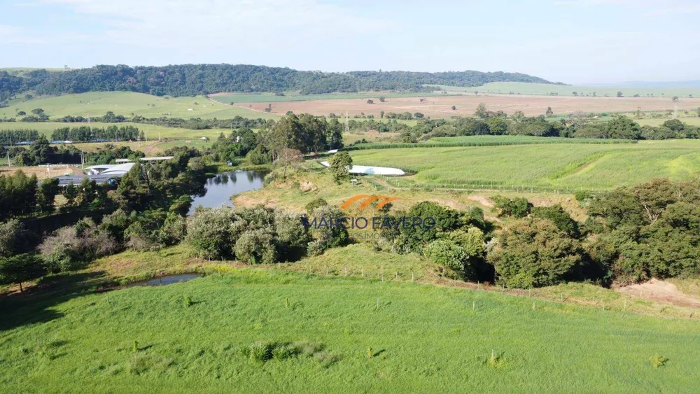 Fazenda, 211 hectares - Foto 4