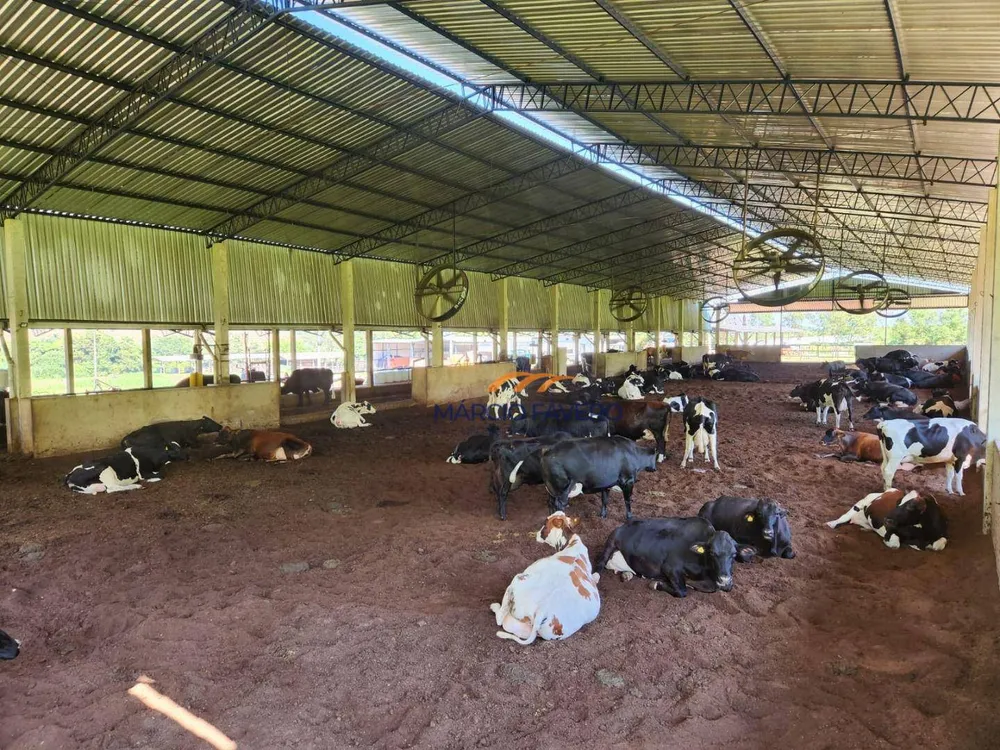Fazenda, 211 hectares - Foto 1