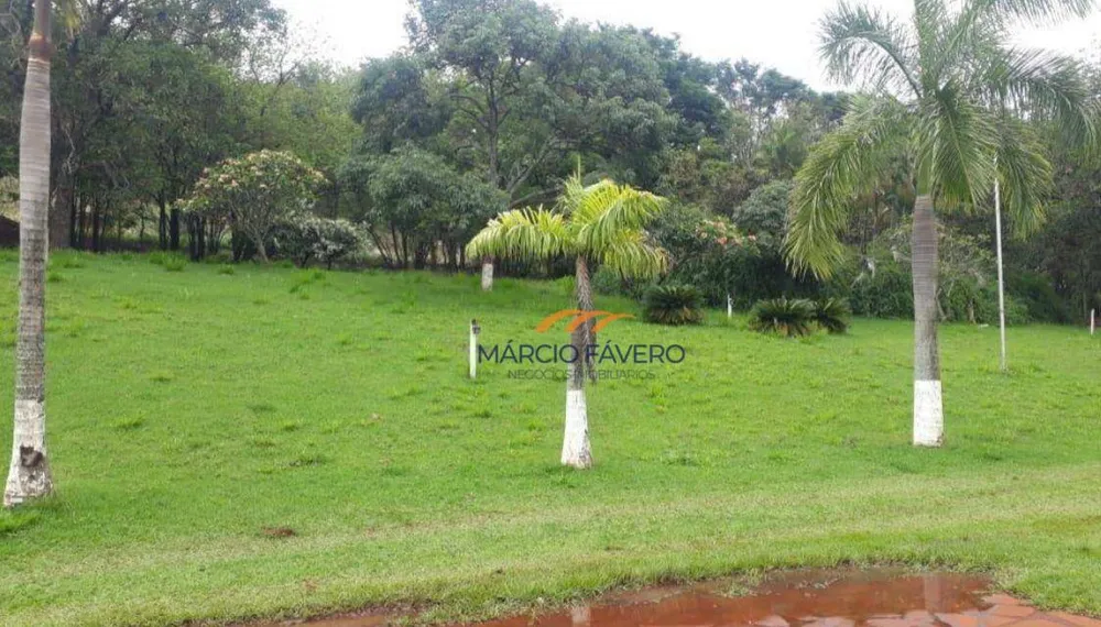 Fazenda, 523 hectares - Foto 3