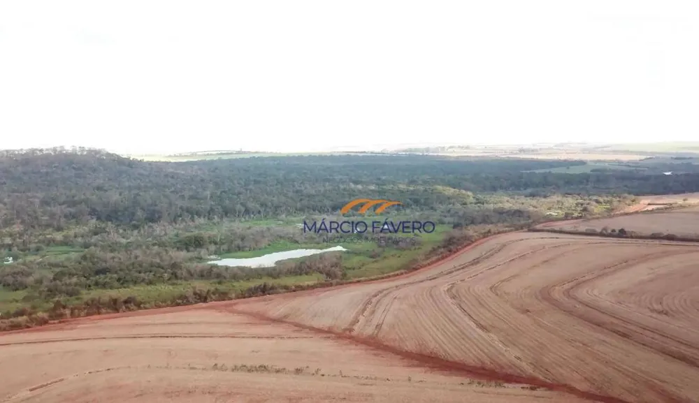 Fazenda, 169 hectares - Foto 4