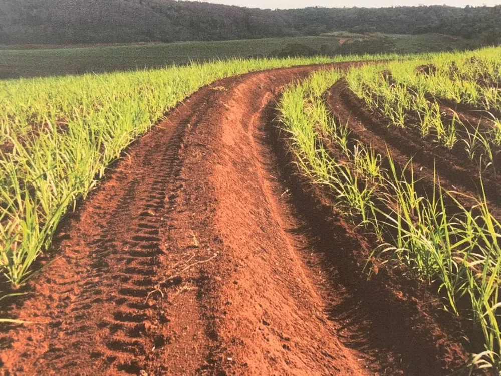 Fazenda, 169 hectares - Foto 2
