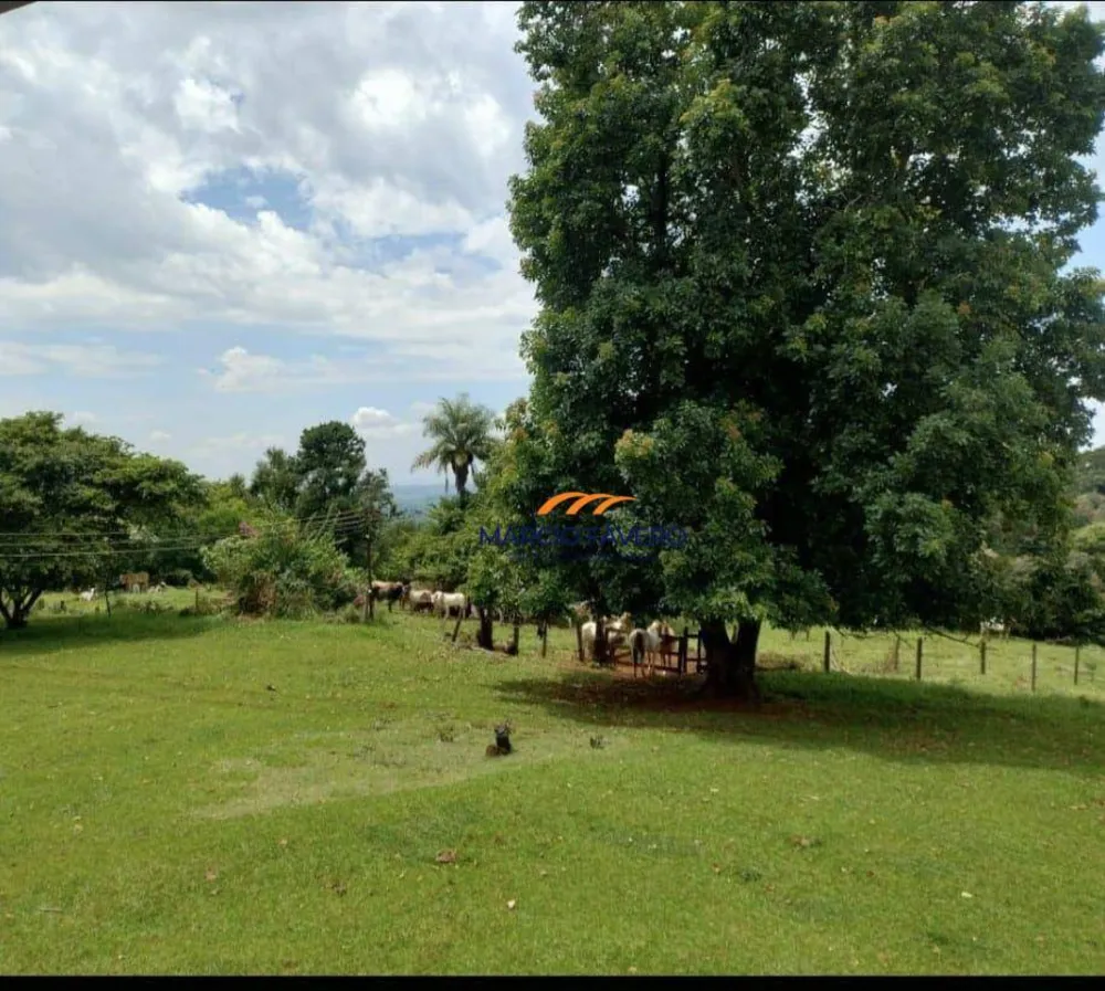 Fazenda, 298 hectares - Foto 7