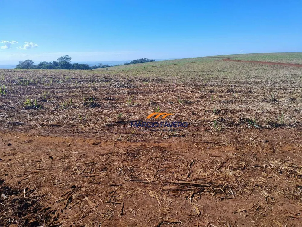 Fazenda, 298 hectares - Foto 4