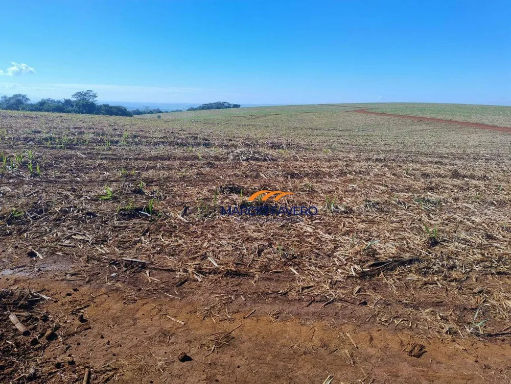 Fazenda, 298 hectares - Foto 2