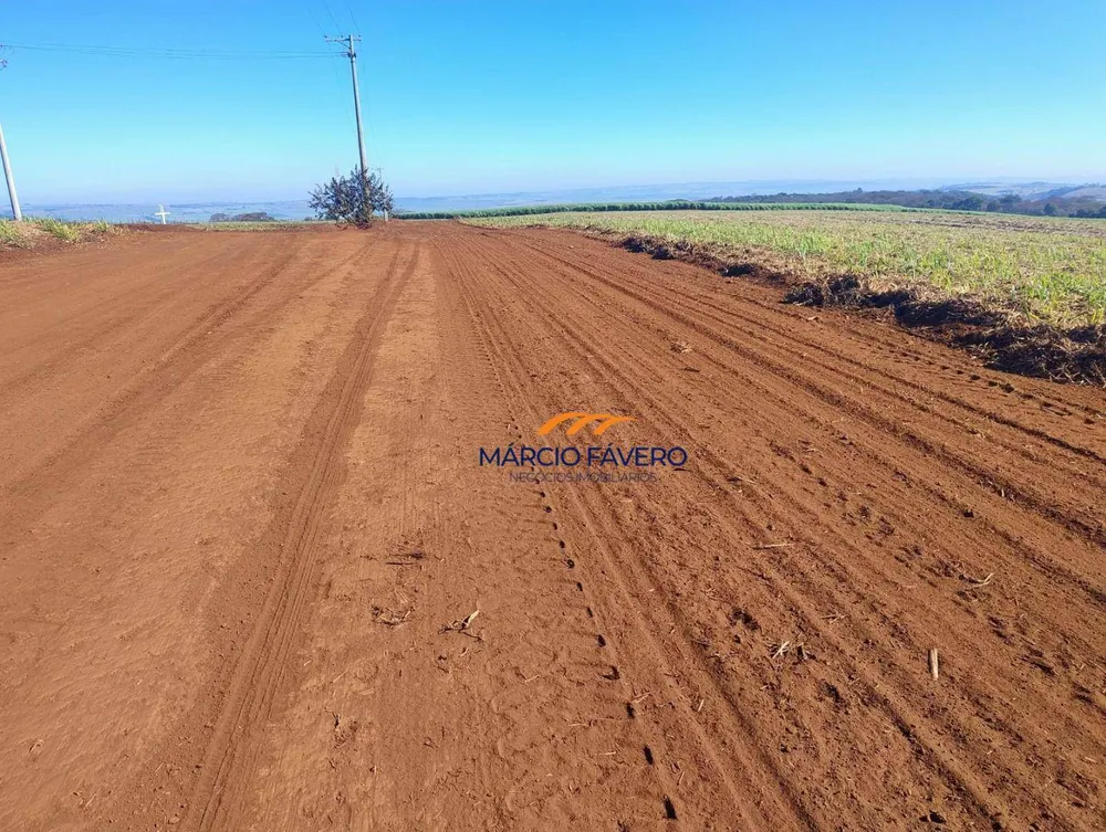 Fazenda, 298 hectares - Foto 12