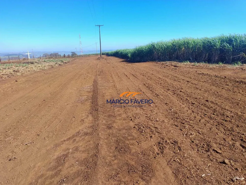 Fazenda, 298 hectares - Foto 6