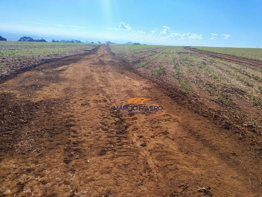 Fazenda, 298 hectares - Foto 11
