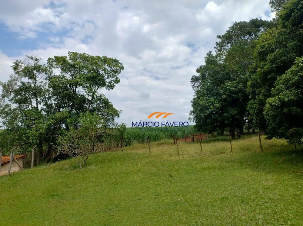Fazenda, 298 hectares - Foto 2