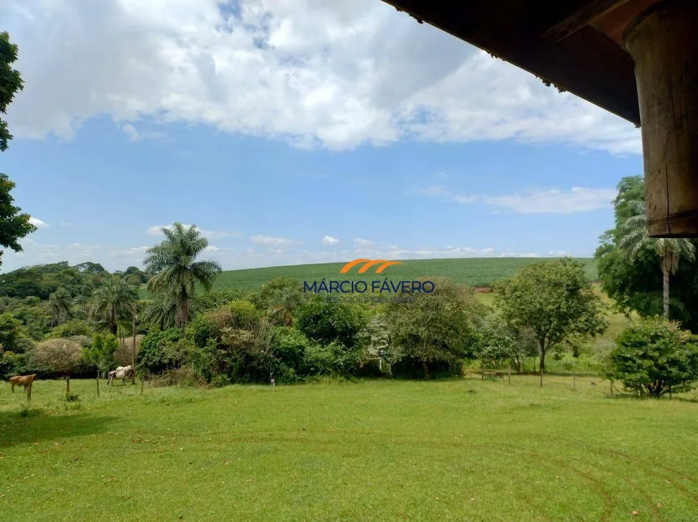 Fazenda, 298 hectares - Foto 4