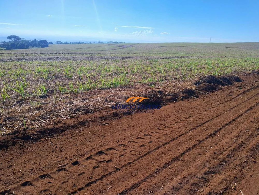 Fazenda, 298 hectares - Foto 5