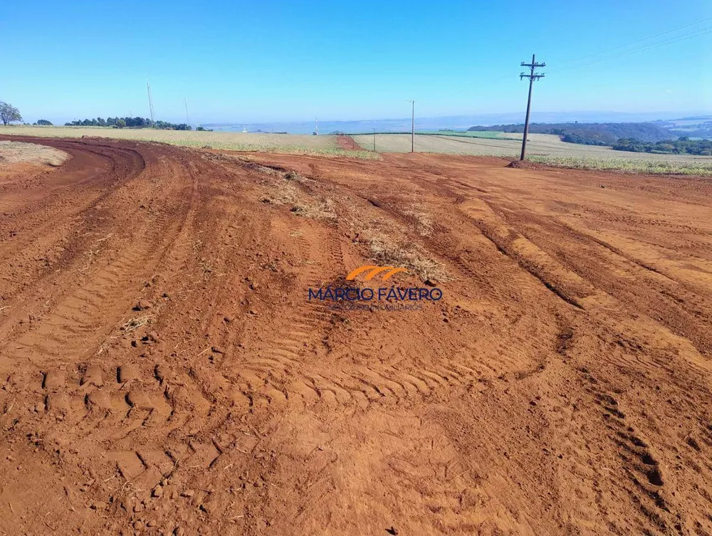 Fazenda, 298 hectares - Foto 3