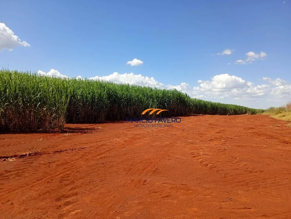 Fazenda, 298 hectares - Foto 10