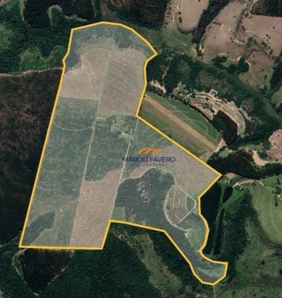 Fazenda, 148 hectares - Foto 4