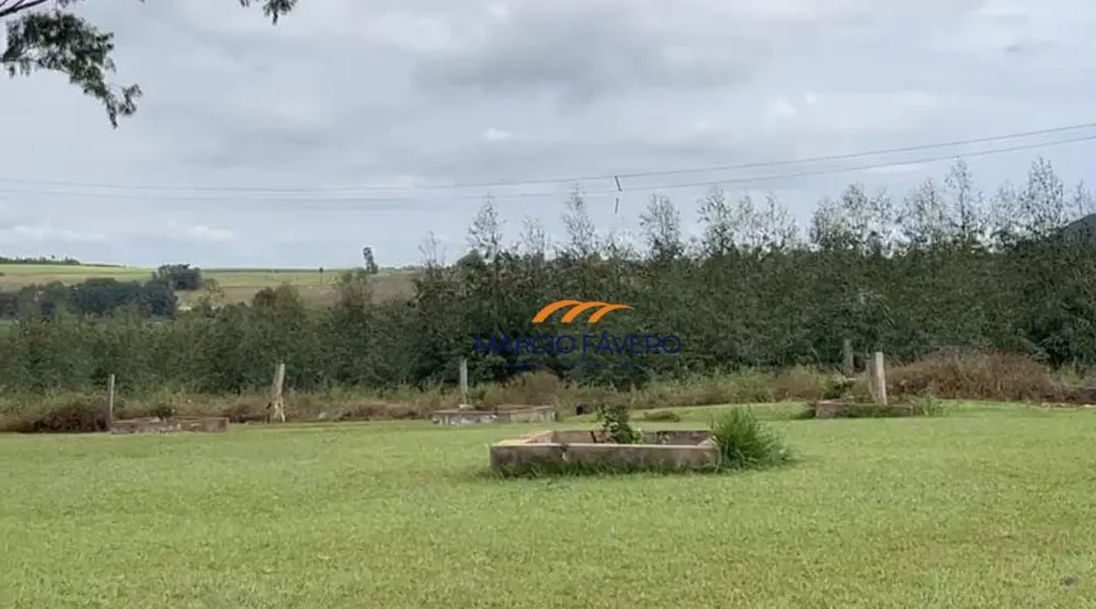 Fazenda, 148 hectares - Foto 6