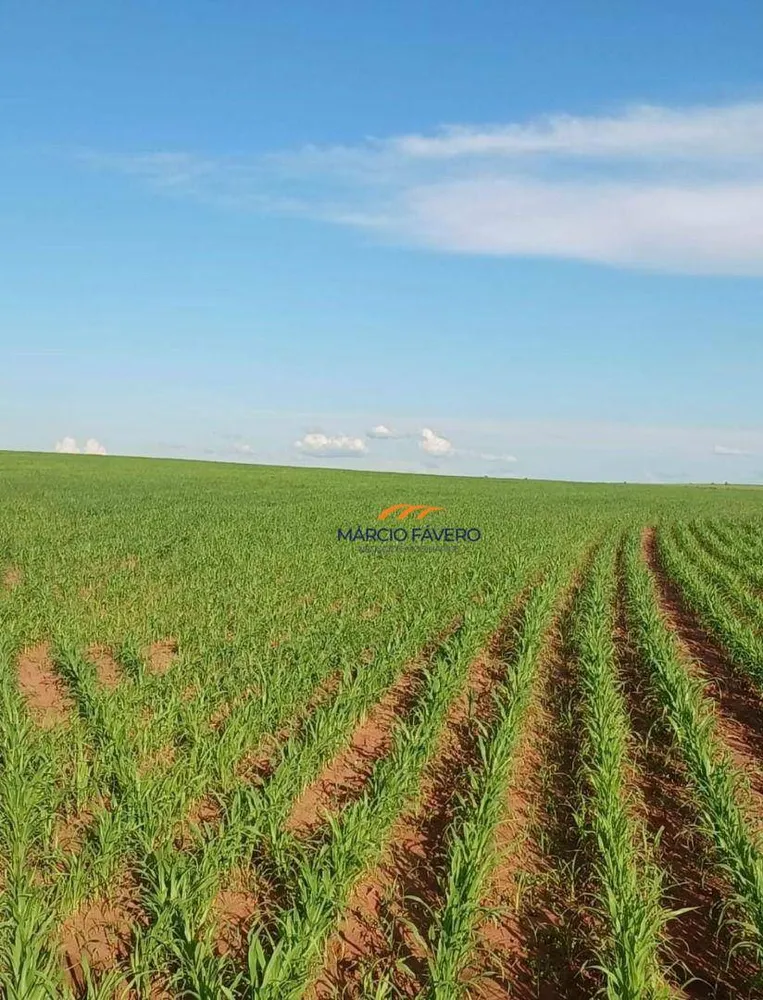 Fazenda, 276 hectares - Foto 11