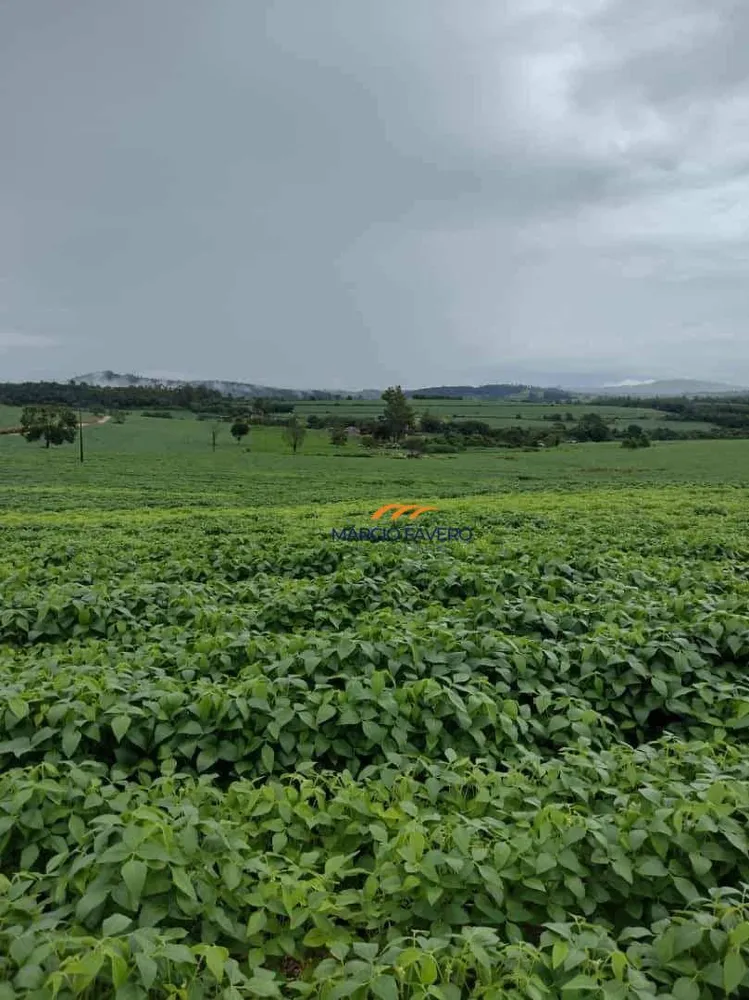 Fazenda, 276 hectares - Foto 10