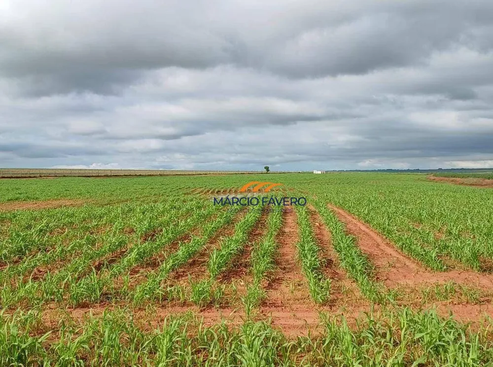 Fazenda, 276 hectares - Foto 4