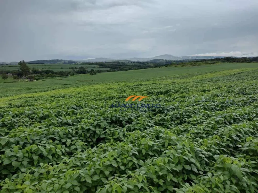 Fazenda, 276 hectares - Foto 3