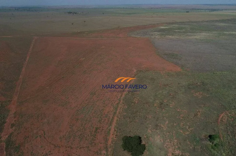 Fazenda, 276 hectares - Foto 7