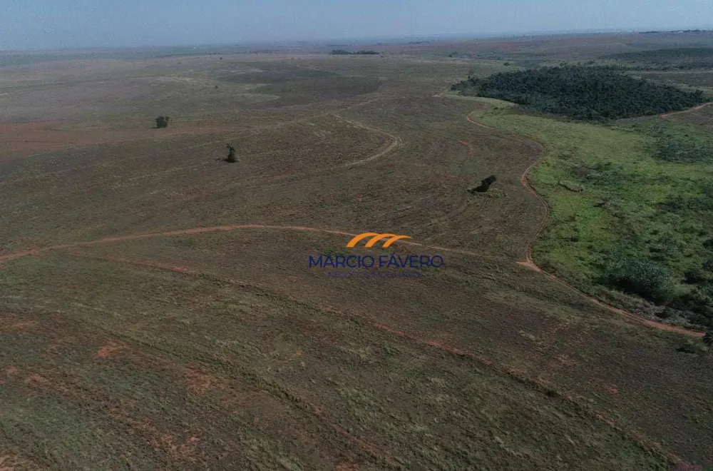 Fazenda, 276 hectares - Foto 8