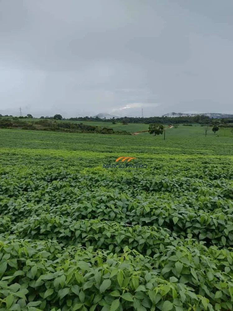 Fazenda, 276 hectares - Foto 1