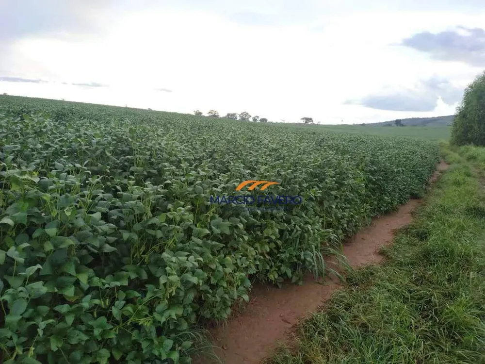 Fazenda, 276 hectares - Foto 2