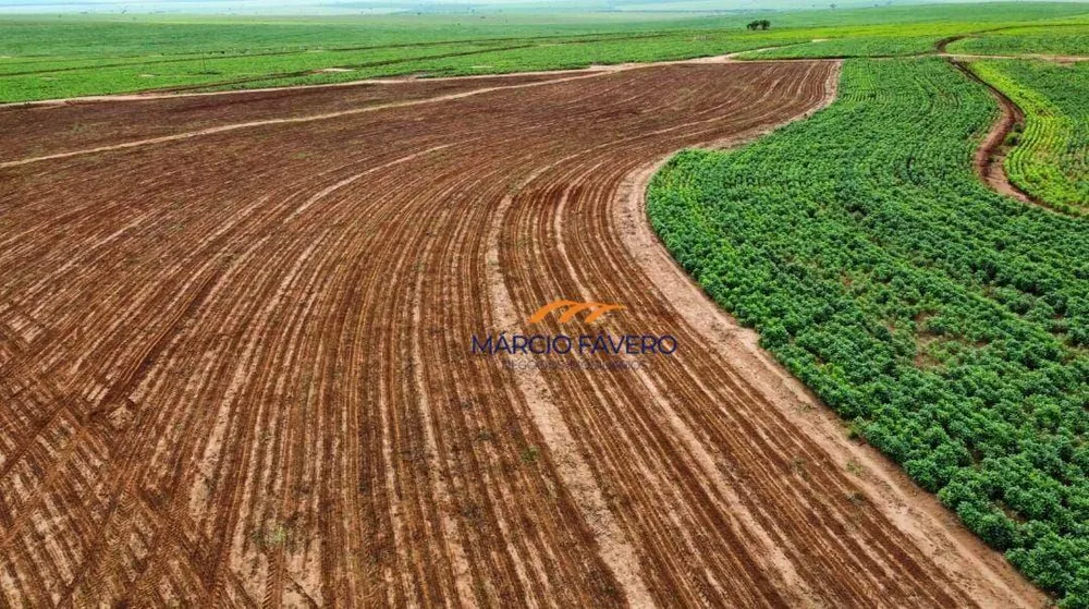 Fazenda, 276 hectares - Foto 6
