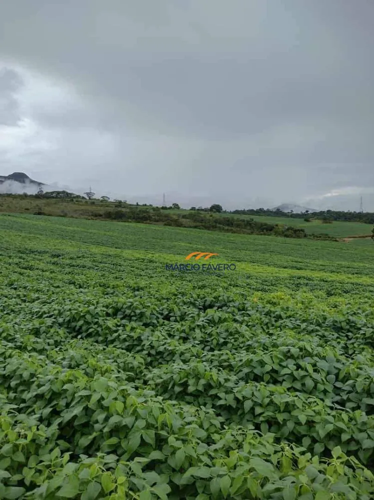 Fazenda, 276 hectares - Foto 9
