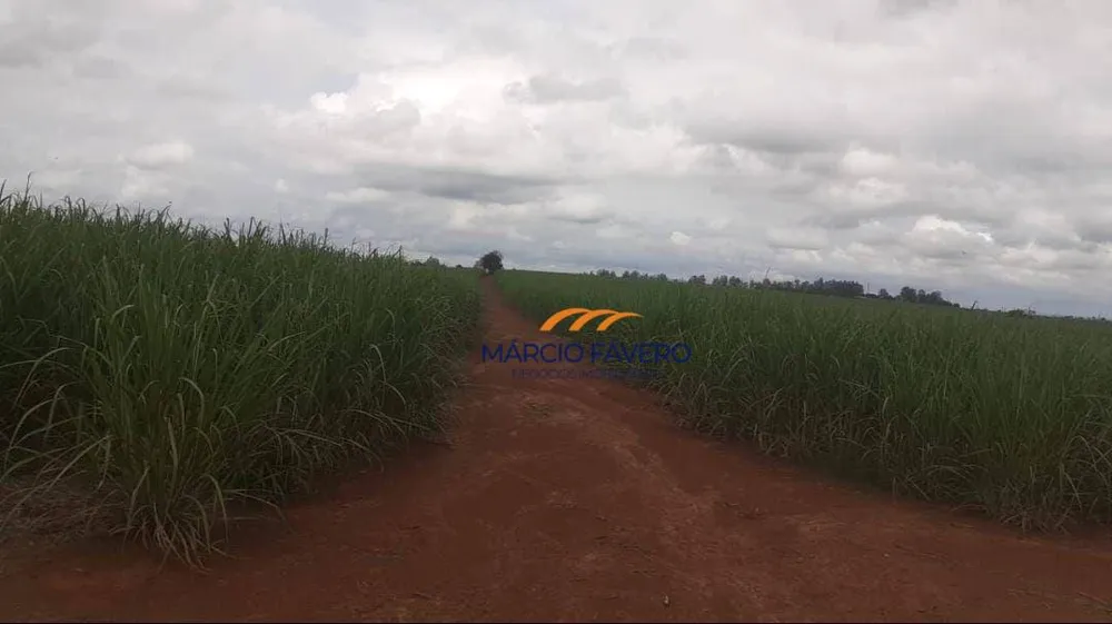 Fazenda, 307 hectares - Foto 7