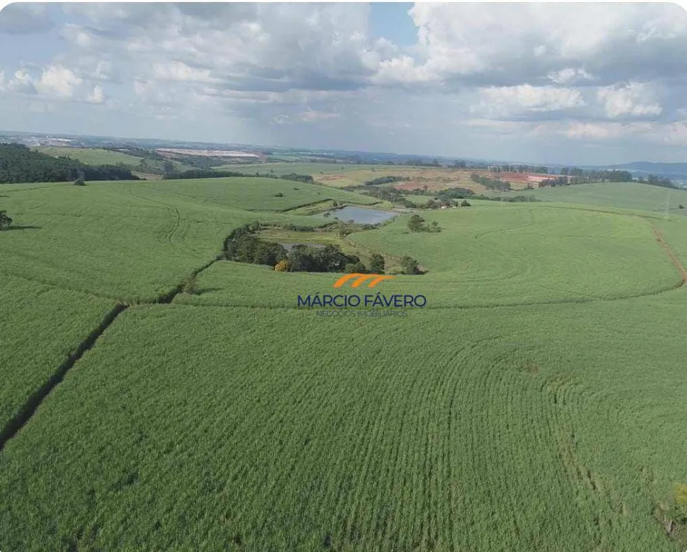 Fazenda, 307 hectares - Foto 10