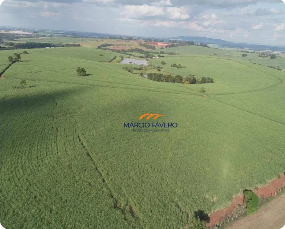 Fazenda, 307 hectares - Foto 13