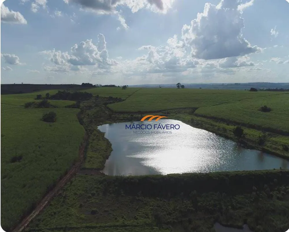 Fazenda, 307 hectares - Foto 2