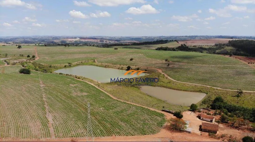 Fazenda, 307 hectares - Foto 4