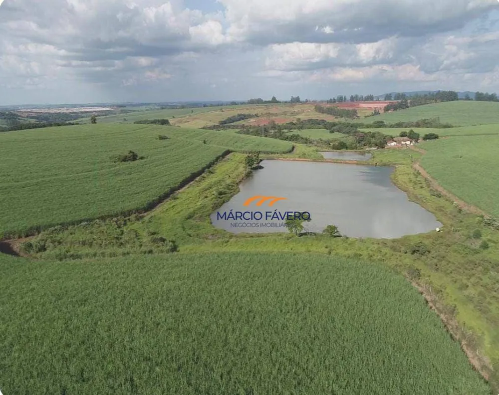Fazenda, 307 hectares - Foto 1