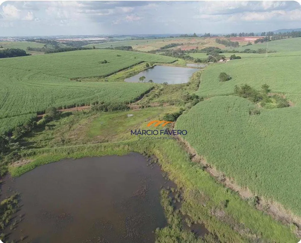 Fazenda, 307 hectares - Foto 3